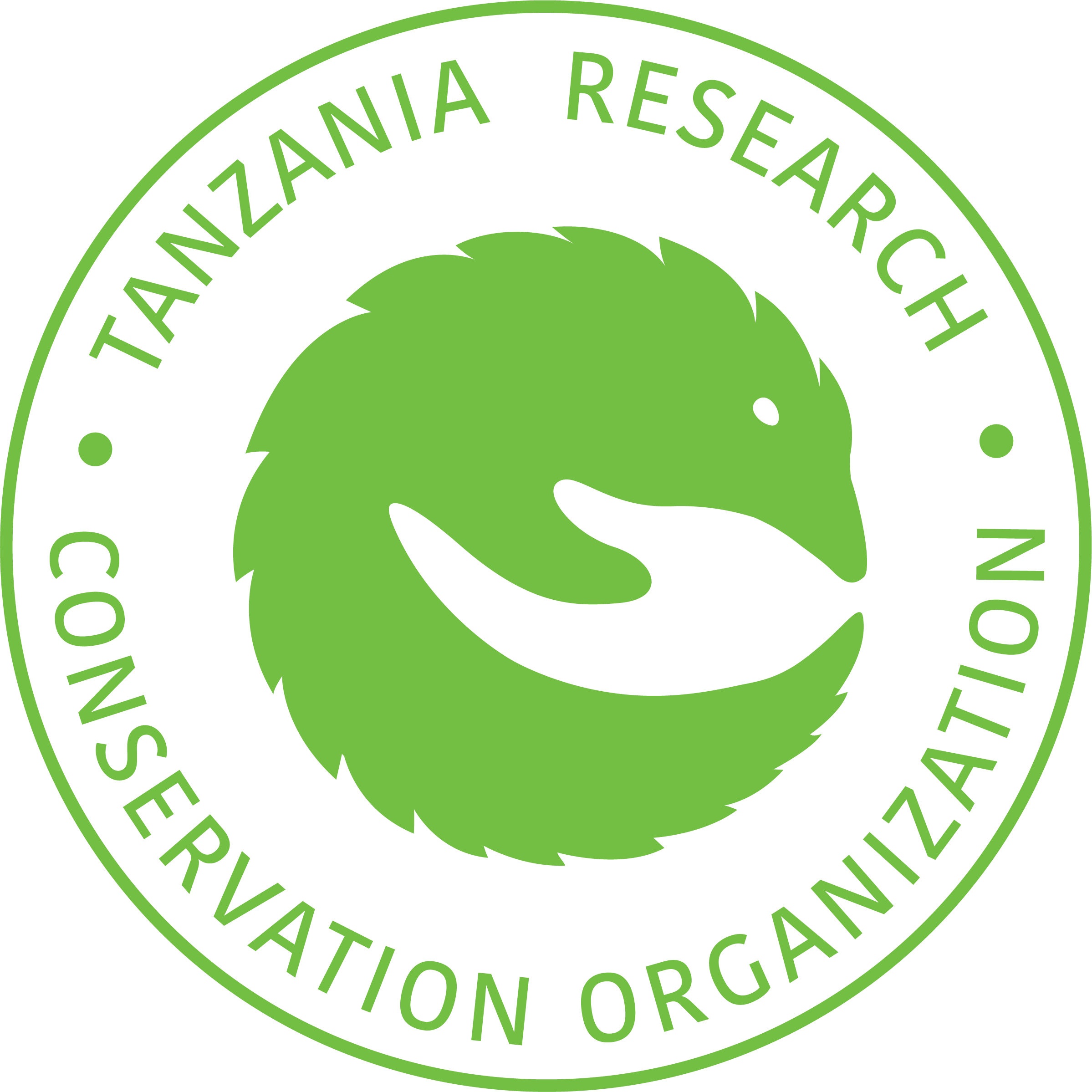 footer-logo